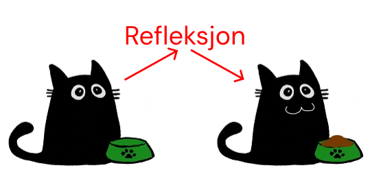 LoRe får mat av refleksjoner